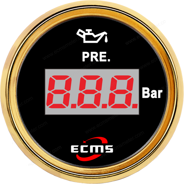 ECP/ECP2-Digital pressure gauge