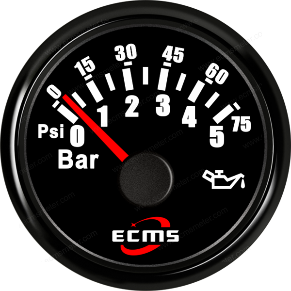 ECP/ECP2-Pressure gauge (5Bar)