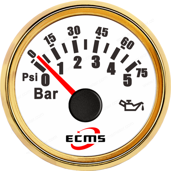 ECP/ECP2-Pressure gauge (5Bar)
