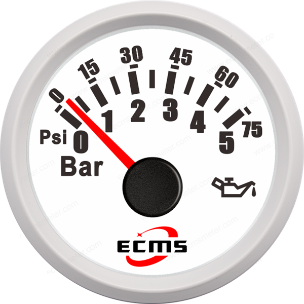 ECP/ECP2-Pressure gauge (5Bar)