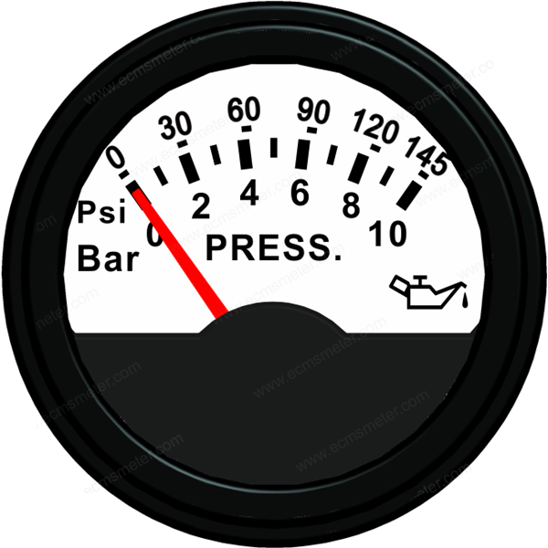 ECCS-Pressure gauge 10Bar