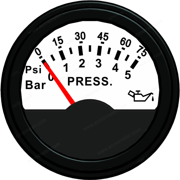 ECCS-Pressure gauge 5Bar
