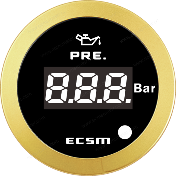 ECT-Digital pressure gauge(with low pressure alarm light)