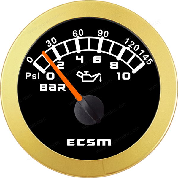 ECT-Pressure gauge 10Bar