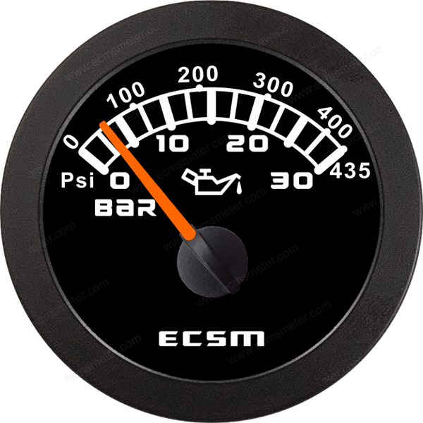 ECT-Pressure gauge  30Bar