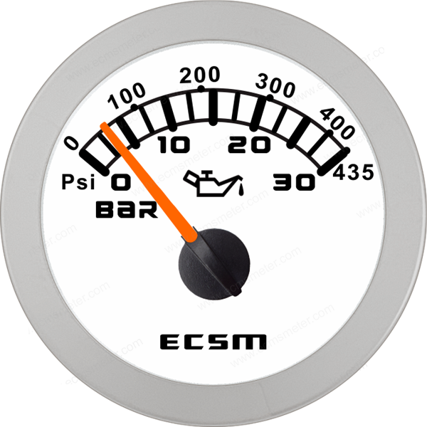 ECT-Pressure gauge  30Bar