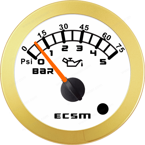 ECT-Pressure gauge 5Bar(with low pressure alarm)
