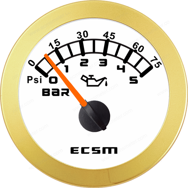 ECT-Pressure gauge 5bar