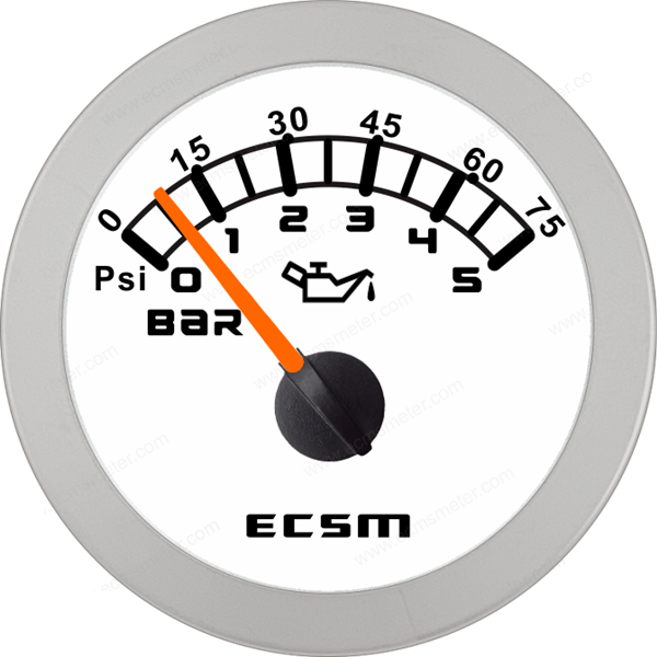 ECT-Pressure gauge 5bar