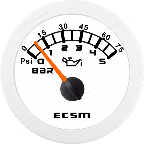 ECT-Pressure gauge 5bar