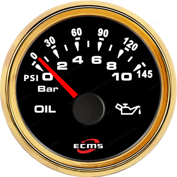 ECH-Pressure gauge 10Bar