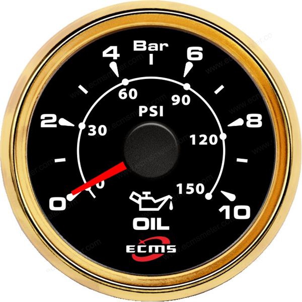ECH-Pressure gauge 10Bar