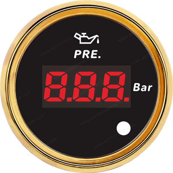 ECPC/ECPS-Digital pressure gauge(with low level alarm light)