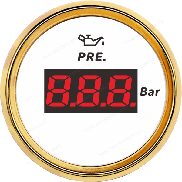 ECPC/ECPS-Digital pressure gauge