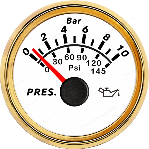 ECPC/ECPS-Pressure gauge  10Bar