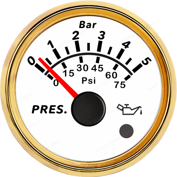 ECPC/ECPS-Pressure gauge  5Bar (with low level alarm light)