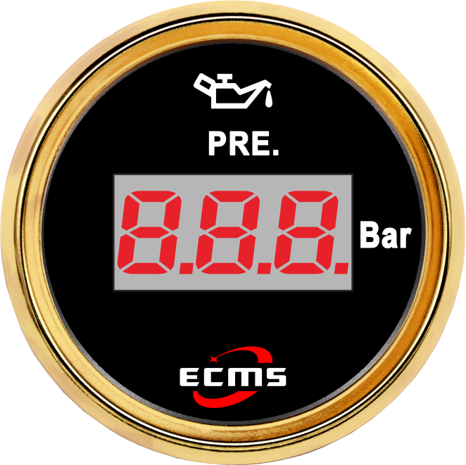 ECP/ECP2-Digital pressure gauge