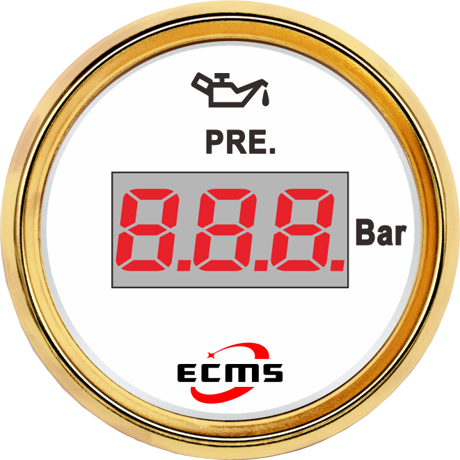 ECP/ECP2-Digital pressure gauge