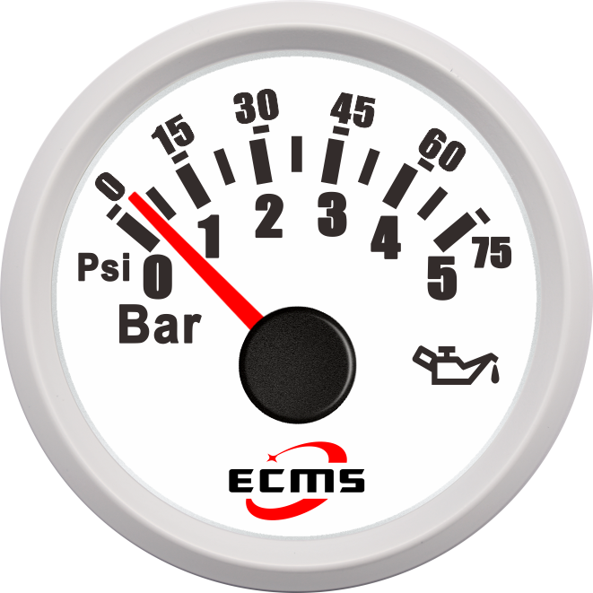 ECP/ECP2-Pressure gauge (5Bar)