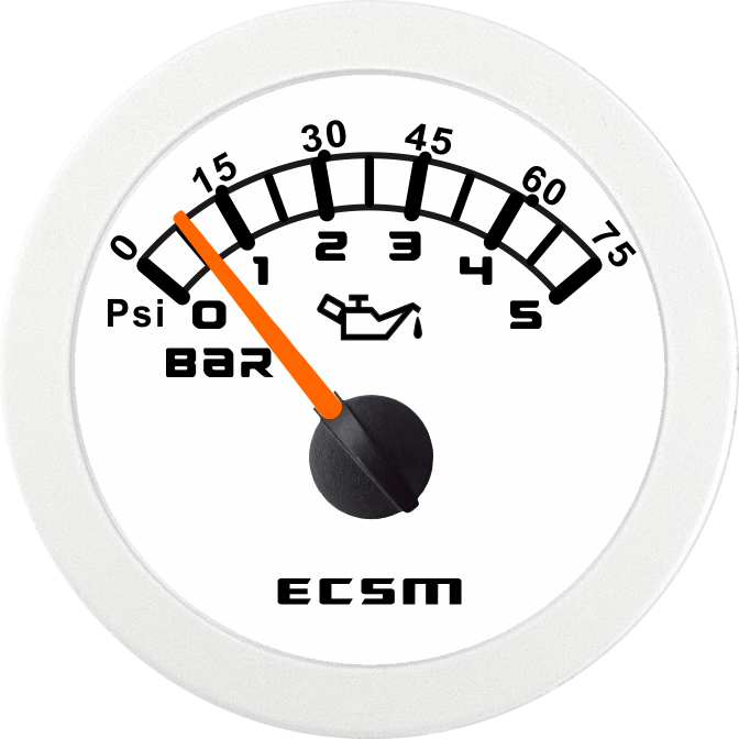 ECT-Pressure gauge 5bar