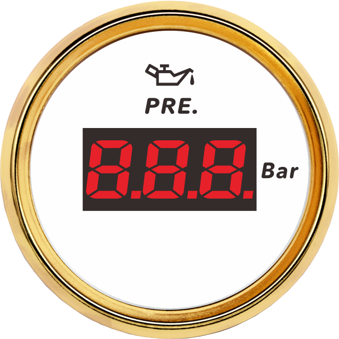 ECPC/ECPS-Digital pressure gauge